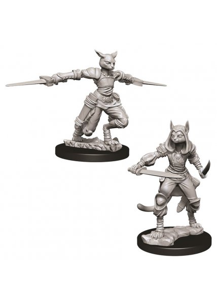 D&D Nolzur's Marvelous Unpainted Miniatures: Female Tabaxi Rogue